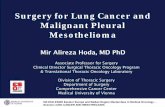 Surgery for Lung Cancer and Malignant Pleural Mesothelioma · primary surgery as the treatment of choice for T4 non–small cell lung carcinoma, whenever a complete resection is thought