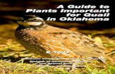A Guide to Plants Important for Quail in Oklahomafactsheets.okstate.edu/wp-content/uploads/2018/01/E-1047...A Guide to Plants Important for Quail in Oklahoma Oklahoma Cooperative Extension
