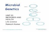 Microbial Genetics Lecture PowerPoint - Karachi, Pakistan · 2016-03-04 · Nucleic Acid • Nucleic acids are biological molecules essential for life • Nucleic acids allow organisms
