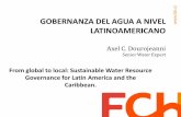 GOBERNANZA DEL AGUA A NIVEL LATINOAMERICANO Gobernanza Agua... · Países con Planes Nacionales de GIRH ( Brasil y recientemente Perú) Países con Agendas de Agua a largo Plazo (