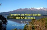 Forestry on Maori Lands Challenges - Scion · • As Maori land owners we often have to balance economic objectives with social, cultural, and spiritual values –In LTFT and LRFT