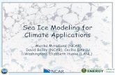 Sea Ice Modeling for Climate Applications...Sea Ice Modeling for Climate Applications Marika M Holland (NCAR) David Bailey (NCAR), Cecilia Bitz(U. Washington), Elizabeth Hunke (LANL)