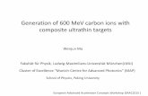 Generation of 600 MeV carbon ions with composite ultrathin ......Generation of 600 MeV carbon ions with composite ultrathin targets Cluster of Excellence “Munich-Centre for Advanced