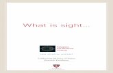 What is sight… · Senior Scientist & W. Clement Stone Scholar, Schepens Eye Research Institute Eli Peli, M.Sc., O.D. Co-Director of Research, Senior Scientist, & Moakley Scholar