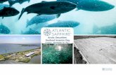 Content Arctic Securities Content Seafood Investor Dayotc.nfmf.no/public/news/17350.pdfContent Arctic Securities Content Seafood Investor Day London - November 16, 2017 | Header Header