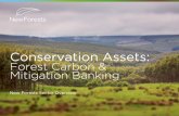 Conservation Assets: Forest Carbon & Mitigation …...• New Forests’ US business focuses on strategies related to conservation forestry, mitigation banking, and forest carbon.