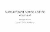 Normal wound healing, and the enemies!...A wound - definition •A wound may be defined as the interruption of continuity in a tissue, usually following trauma. Skin is predominantly