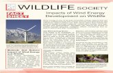 Impacts of Wind Energy Development on Wildlife · 2018-09-14 · Global Wind Energy Council headquarters, Brussels, Belgium. 3 Smallwood, K. S., and C. G. Thelander. 2004. Developing
