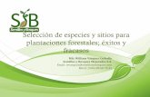 Selección de especies y sitios para plantaciones ...repositorio.inia.gob.pe/bitstream/inia/374/1/... · de Nicaragua S.A Managua 50 años Cierre Abastecimiento Distancia Alto Costo