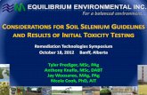 ONSIDERATIONS FOR SOIL SELENIUM UIDELINES AND RESULTS … · 2016-01-22 · CONSIDERATIONS FOR SOIL SELENIUM GUIDELINES AND RESULTS OF INITIAL TOXICITY TESTING Remediation Technologies