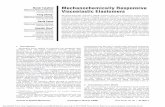 Mechanochemically Responsive Viscoelastic Elastomerszhao.mit.edu/wp-content/uploads/2019/01/81.pdfTeng Zhang1 Department of Mechanical Engineering, Massachusetts Institute of Technology,
