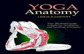 YOGA - free.allmedbooks.comfree.allmedbooks.com/anatomy/yoga-anatomy.pdf · Because yoga practice emphasizes the relationship of the breath and the spine, I will pay particular attention