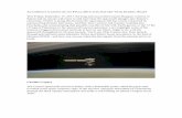 ACCOMPANY CASSINI ON ITS FINAL DIVE INTO SATURN WITH STARRY NIGHT 2017 Cassini Newsletter... · 2020-01-24 · ACCOMPANY CASSINI ON ITS FINAL DIVE INTO SATURN WITH STARRY NIGHT This