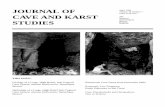 JOURNAL OF - National Speleological Society · 2015-01-29 · Journal of Caves and Karst Studies, April 1996 • 5 opment of a karst landscape, and without their service as underground