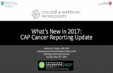 What’s New in 2017: CAP Cancer Reporting Updateapin/docs/Klepeis_API_2017_CAP... · 2017-08-15 · • XML Generator • Custom .NET tool that generates xml from database records