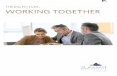 THE BIG PICTURE: WORKING TOGETHER · 2018-06-21 · needs. We’ll put together the “big picture” that helps solve the puzzle which is built around a holistic plan for managing