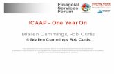 ICAAP – One Year On · 14 companies: mix of size, reinsurer and direct offices. Conducted by Interview Purpose of survey was to ascertain the maturity of the ongoing ORSA and