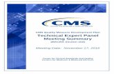 CMS Quality Measure Development Plan Technical Expert ...€¦ · CMS Measure Development Plan Technical Expert Panel November 17, 2016, Meeting Summary 3 • Reaffirm priorities