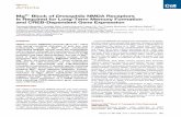 Mg2+ Block of Drosophila NMDA Receptors Is Required for ...neuro.dept.med.gunma-u.ac.jp/museum/seminar/PDF/kojima20120622.pdfassayed 1 hr after training (Figures 3A and 3B) (Xia et