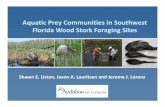 Aquatic Prey Communities in Southwest Wood Stork …...Aquatic Prey Communities in Southwest Florida Wood Stork Foraging Sites Shawn E. Liston, Jason A. Lauritsen and Jerome J. Lorenz