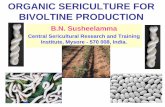 ORGANIC SERICULTURE FOR BIVOLTINE PRODUCTION · The silkworm Bombyx mori L. is responsible for the cocoon productivity and in turn to produce good quality silk. The health, growth