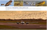 Airport Wildlife Handbook...Airport Wildlife Handbook 1 Introduction Wildlife on and near airports has been a safety and economic concern to aviation personnel since the beginning