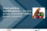 Feed additive combinations – the key to fully unlocking healthy …animalnutrition.dupont.com/fileadmin/user_upload/live/... · 2015-11-18 · speaker places. His Masters degree