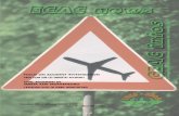 ECACnews No 29final - Aerohabitat€¦ · focus on accident investigation gros plan sur les enquÊtes accidents civil aviation in serbia and montenegro l’aviation civile en serbie-montÉnÉgro