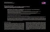 Research Article Antimelanoma and Antityrosinase from Alpinia galangal Constituentsdownloads.hindawi.com/journals/tswj/2013/186505.pdf · 2019-07-31 · Research Article Antimelanoma