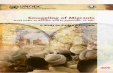 Smuggling of Migrants - United Nations Office on Drugs and ... · commissioned a study on smuggling of migrants from Punjab/Haryana in India to Europe, particularly the UK, in collaboration
