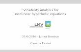 Sensitivity analysis for nonlinear hyperbolic equations · 2016-06-23 · Camilla Fiorini Sensitivity analysis for hyperbolic equations Junior Seminar 1 / 18 Where am I from? Régis