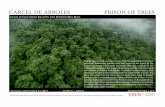 PRISON OF TREES - California State University, Northridge - Prison of Trees.pdf · CARCEL DE ÁRBOLES PRISON OF TREES A FILM BY GUILLERMO ESCALÓN AND RODRIGO REY ROSA Chained and