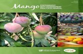 HS 1185 Revised 2014 - mango And...8 MANGO POSTHARVEST BEST MANAGEMENT PRACTICES MANUAL Harvest When to harvest is one of the most important decisions a grower faces when it comes