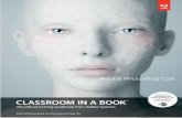 Adobe Photoshop CS6 · Adobe Photoshop CS6 Classroom in a Book contains 14 lessons. The book covers the basics of learning Adobe Photoshop and provides countless tips and techniques