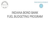 INDIANA BOND BANK FUEL BUDGETING PROGRAMINDIANA BOND BANK Fuel Budgeting Program Example--Gasoline (RBOB) Assumed Floor (1): $2.52 $2.52 $2.52 Assumed Cap (2): $3.00 $3.00 $3.00 Assumed