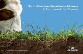 North American Grasslands Alliance · North American Grasslands Alliance: A Framework for Change is the outcome of three CEC Grasslands Experts and Partners Trinational Meetings in