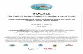VOCALS Summary 0607 · Contributions from Anthony Clarke (University of Hawaii), Chris Fairall (NOAA ETL), Laura Gallardo Klenner (Universidad de Chile), Edward Dever, Ricardo Letelier,