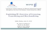 Exploiting IP: Overview of Licensing, Franchising and ... · Exploiting IP: Overview of Licensing, Franchising and Merchandising . ... assignment may be taxed as capital gains to