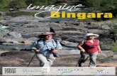 2 Imagine - Bingara · 2 Imagine Bingara For ten thousand years or more, Koori people lived along the shore of the big river they called the Koomar. At a special place, where the