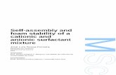 Self-assembly and foam stability of a cationic and anionic ... · Self-assembly and foam stability of a cationic and anionic surfactant mixture José Luís Sousa Ferreira Mestrado