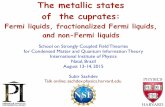 The metallic states of the cuprates - Harvard Universityqpt.physics.harvard.edu/talks/natal15a.pdf · mentum space. • Area enclosed by Fermi surface = total density of electrons