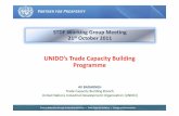 UNIDO’s Trade Capacity Building Programme...Manufacturers & Suppliers Products & Services Legal Metrology Food safety and NQI FOOD Policy INSTITUTIONAL Enterprise / Value Chain Legislations