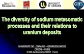 The diversity of sodium metasomatic processes and their …. Diversity of Na... · 2015-05-20 · Followed or not by Ca-metasomatic and/or uranium mineralization Rarely followed by
