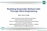 Realizing Enzymatic Biofuel Cells Through NanoThrough Nano ... · Realizing Enzymatic Biofuel Cells Through Nano-Engineering Realizing Enzymatic Biofuel Cells Through NanoThrough