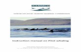 NORTH ATLANTIC MARINE MAMMAL COMMISSION · The North Atlantic Marine Mammal Commission – NAMMCO – is pleased to present this manual on pilot whale hunting in the Faroe Islands.