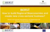 How to build Regional Bioeconomies and create new cross ... · Building blocks of BERST toolkit . Brussels, Sachsen-Anhalt Symposium 12 Nov 2014 Block 4: Regional Profiles for biosectors
