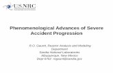 Phenomenological Advances of Severe Accident Progression€¦ · CV050 Lower Dome CV005 Basement CV010 Cavity Enhanced Nodalization CV41 CV's 20,30,40 CV55 CV50 0.56 m 7.21 m 25.83