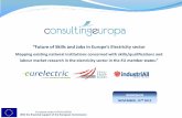 Future of Skills and Jobs in Europe’s Electricity sector · “Future of Skills and Jobs in Europe’s Electricity sector Mapping existing national institutions concerned with skills/qualifications