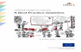 A Best Practice Guideline - Maynooth University€¦ · A Best Practice Guideline . Universal Design for Learning 3 ... This document has been prepared for the European Commission