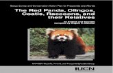 Status Survey and Conservation Action Plan for …...Status Survey and Conservation Action Plan for Procyonids and Ailurids The Red Panda, Olingos, Coatis, Raccoons, and their Relatives